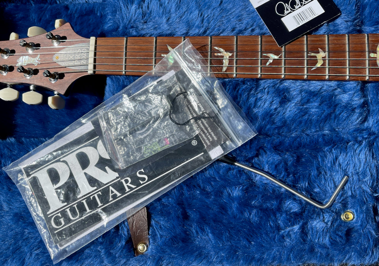 2020 Experience PRS Modern Eagle V *Custom Color* Charcoal Purple Burst