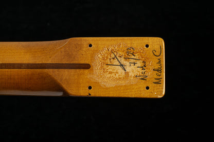 USED 2024 Nacho Telecaster Blackguard #0188