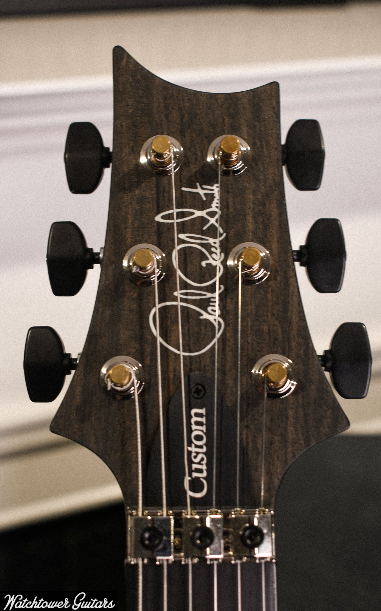 Paul Reed Smith PRS Custom 24 "Floyd" - Purple Mist