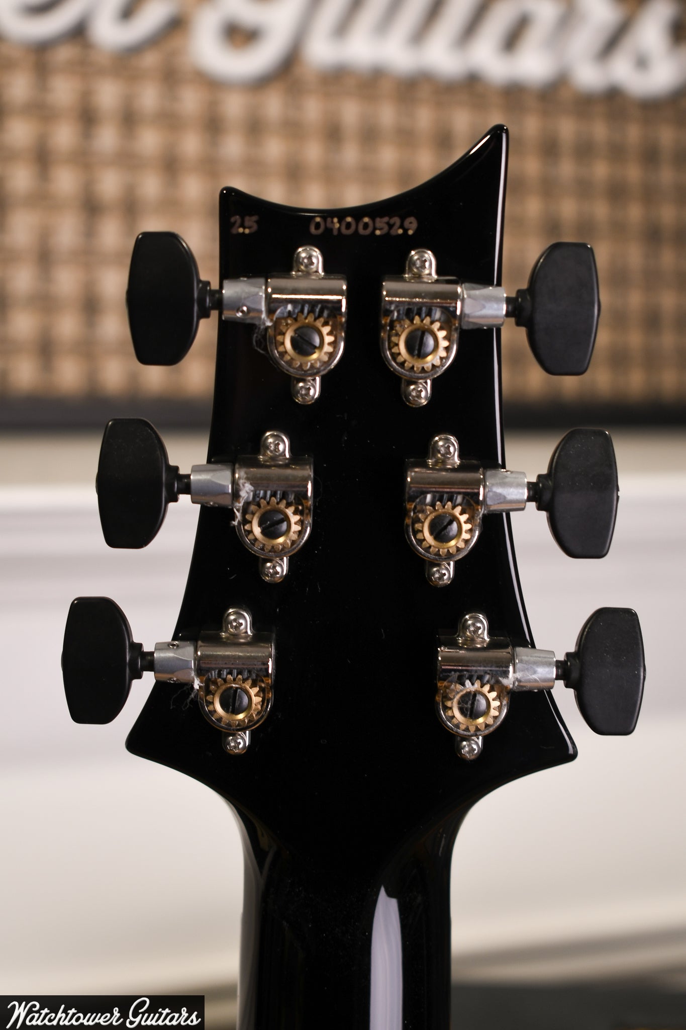 Paul Reed Smith PRS Custom 24 "Floyd" - Purple Mist