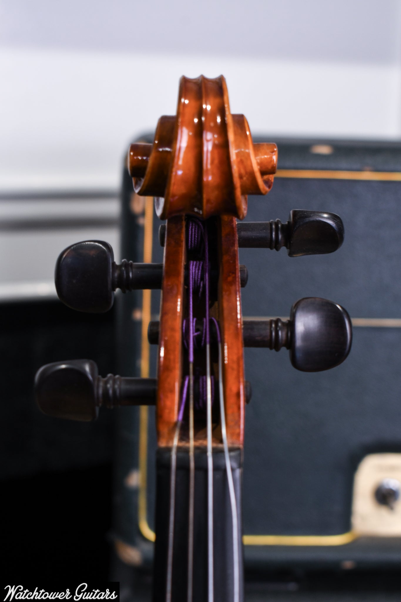 Chinese Viola