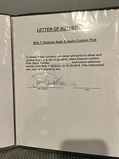 2009 Nash Esquire E-57S Purple Metallic Personally Owned by Billy Gibbons