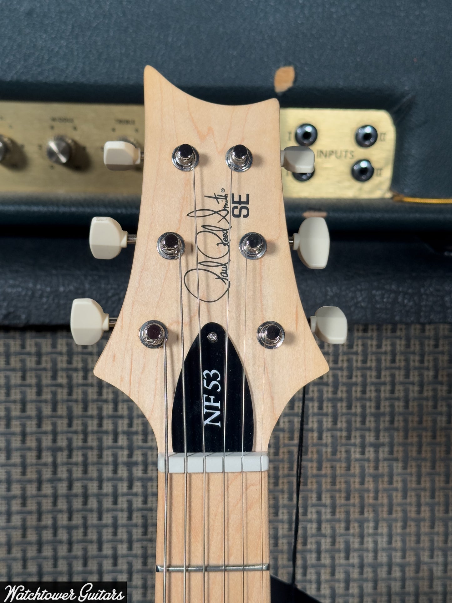 Paul Reed Smith PRS SE NF 53 Black Doghair