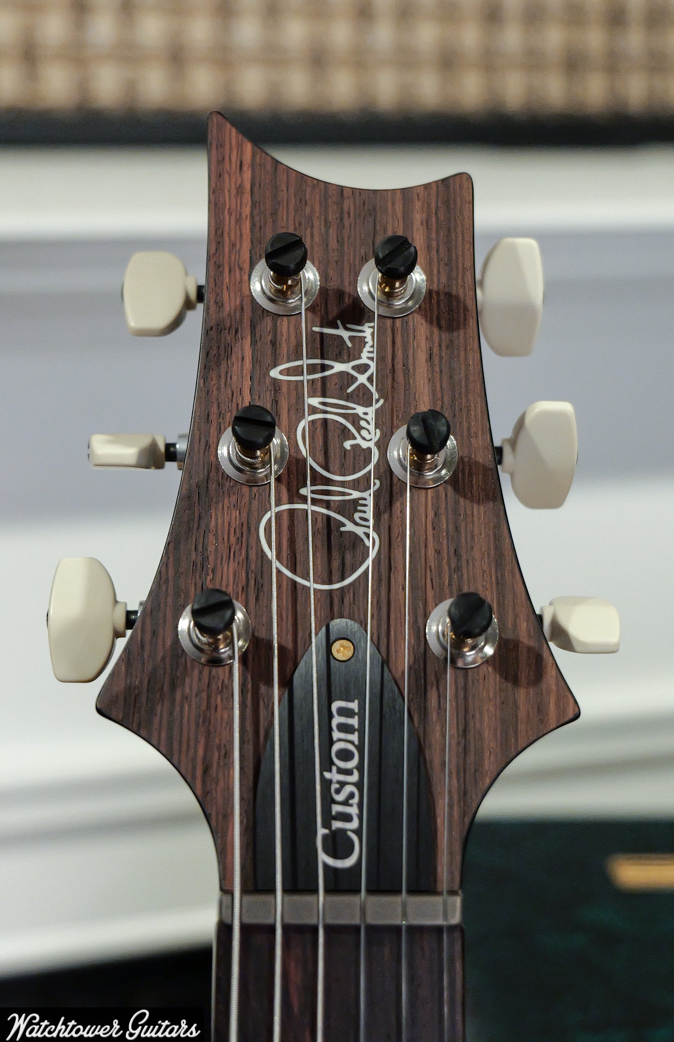 Paul Reed Smith PRS Custom 24 10 Top Faded Whale Blue