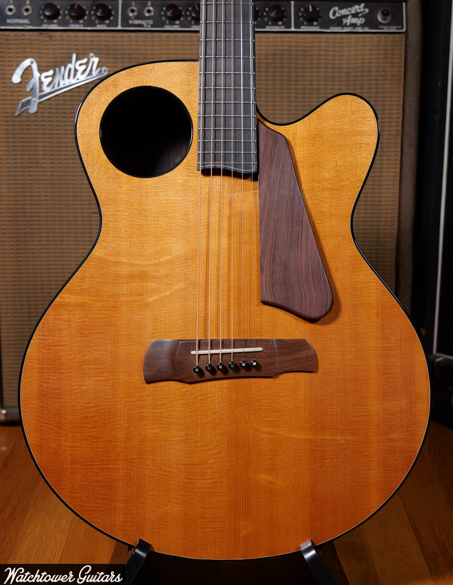 2009 Ribbecke Halfling Amber