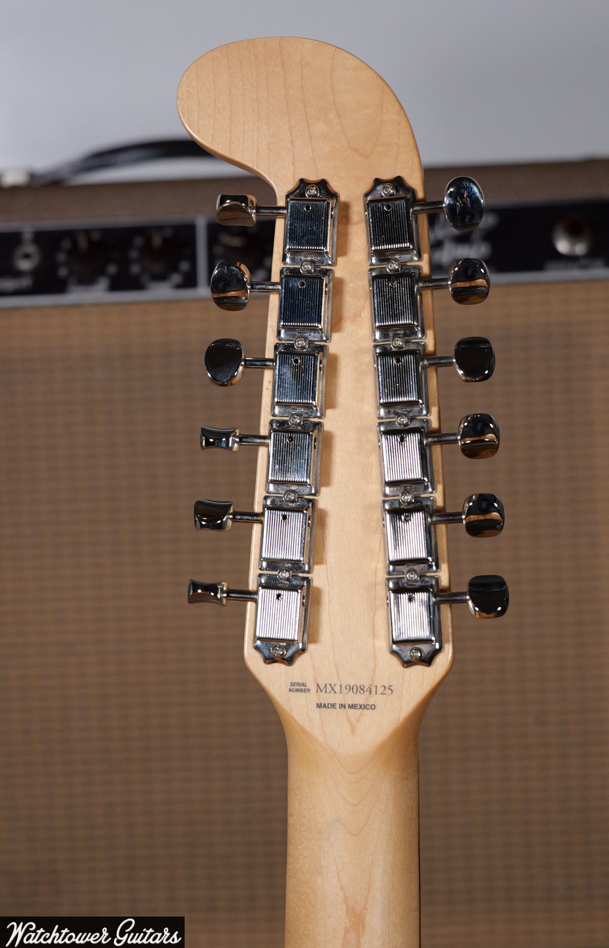 2019 Fender Alternate Reality Electric XII Lake Placid Blue