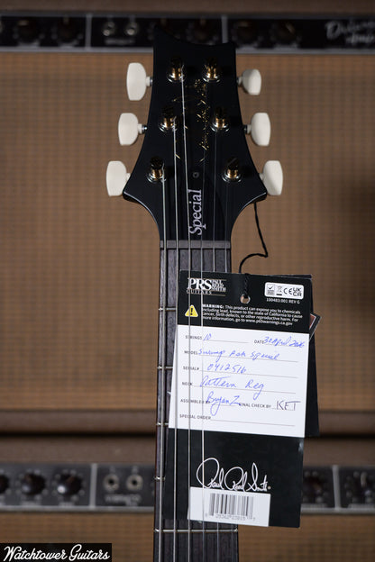 Paul Reed Smith PRS Swamp Ash Special *Sprayer's Choice* Purple