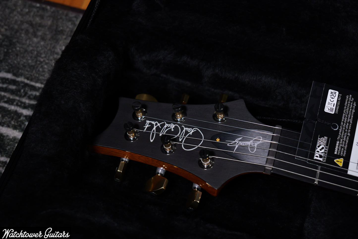 Paul Reed Smith PRS Custom 24 Dany Villarreal Astryx Limited Edition - Ocaso