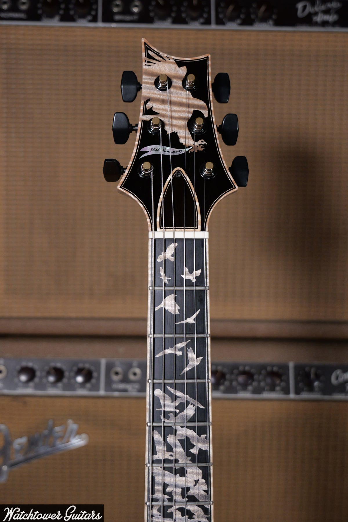 Paul Reed Smith PRS Private Stock 30th Anniversary "Birds of Feather" Hollowbody I Frostbite Glow