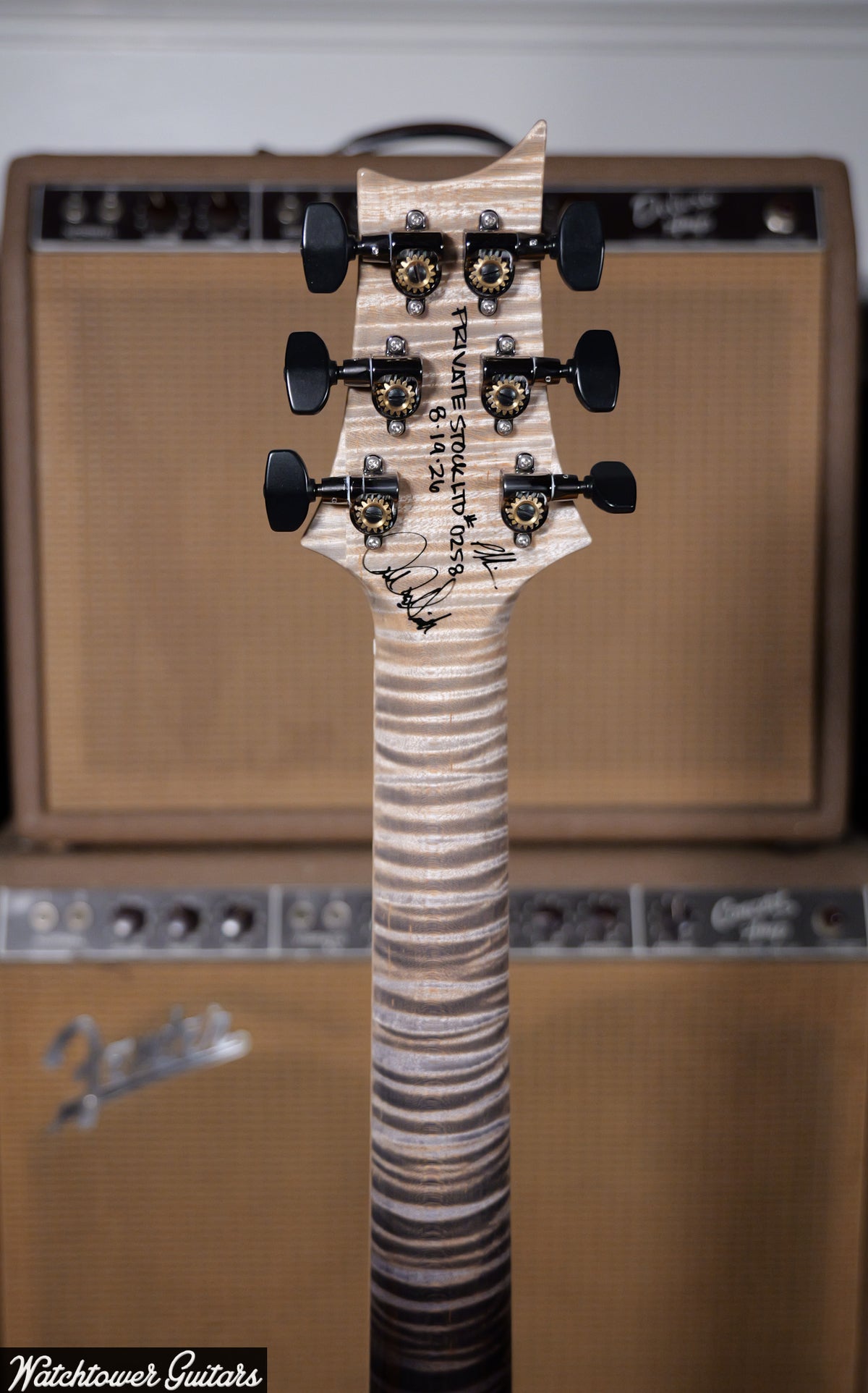 Paul Reed Smith PRS Private Stock 30th Anniversary "Birds of Feather" Hollowbody I Frostbite Glow