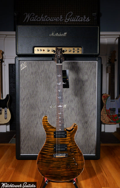 Paul Reed Smith PRS Custom 24 Stoptail Wood Library Tiger's Eye
