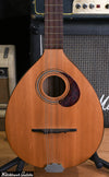 Cittern 8-string