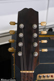 Cittern 8-string