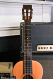 1905 Washburn "1897 New Model"