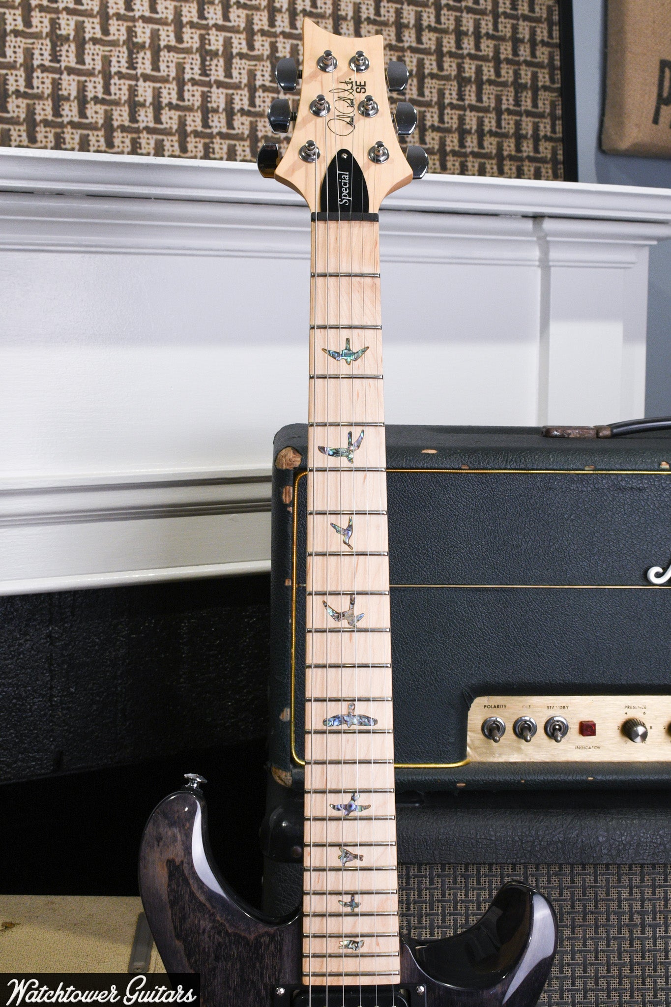2024 Paul Reed Smith PRS SE SWAMP ASH SPECIAL - Charcoal