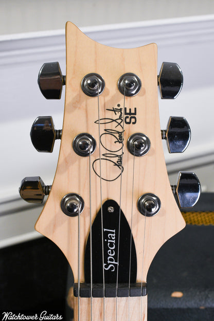 2024 Paul Reed Smith PRS SE SWAMP ASH SPECIAL - Charcoal