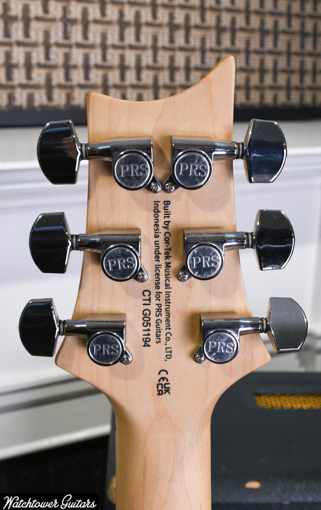 2024 Paul Reed Smith PRS SE SWAMP ASH SPECIAL - Charcoal