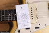 2021 Danocaster Offset Custom Lace Firemist Gold over Inca Silver