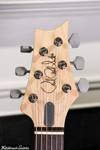 2024 Paul Reed Smith PRS Silver Sky Rosewood Faded Black Tee Satin
