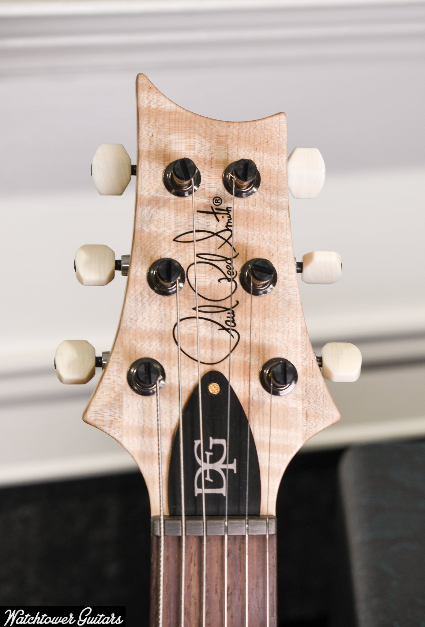 Paul Reed Smith PRS DGT Signature 10 Top Quilt Brazilian Board/Maple Neck Wood Library Purple Mist