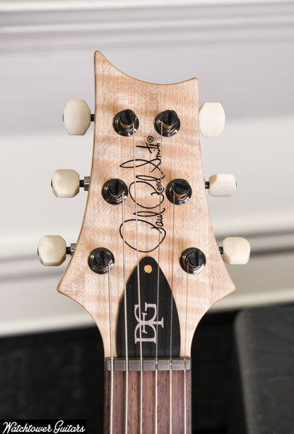 Paul Reed Smith PRS DGT Signature 10 Top Quilt Brazilian Board/Maple Neck Wood Library Purple Mist