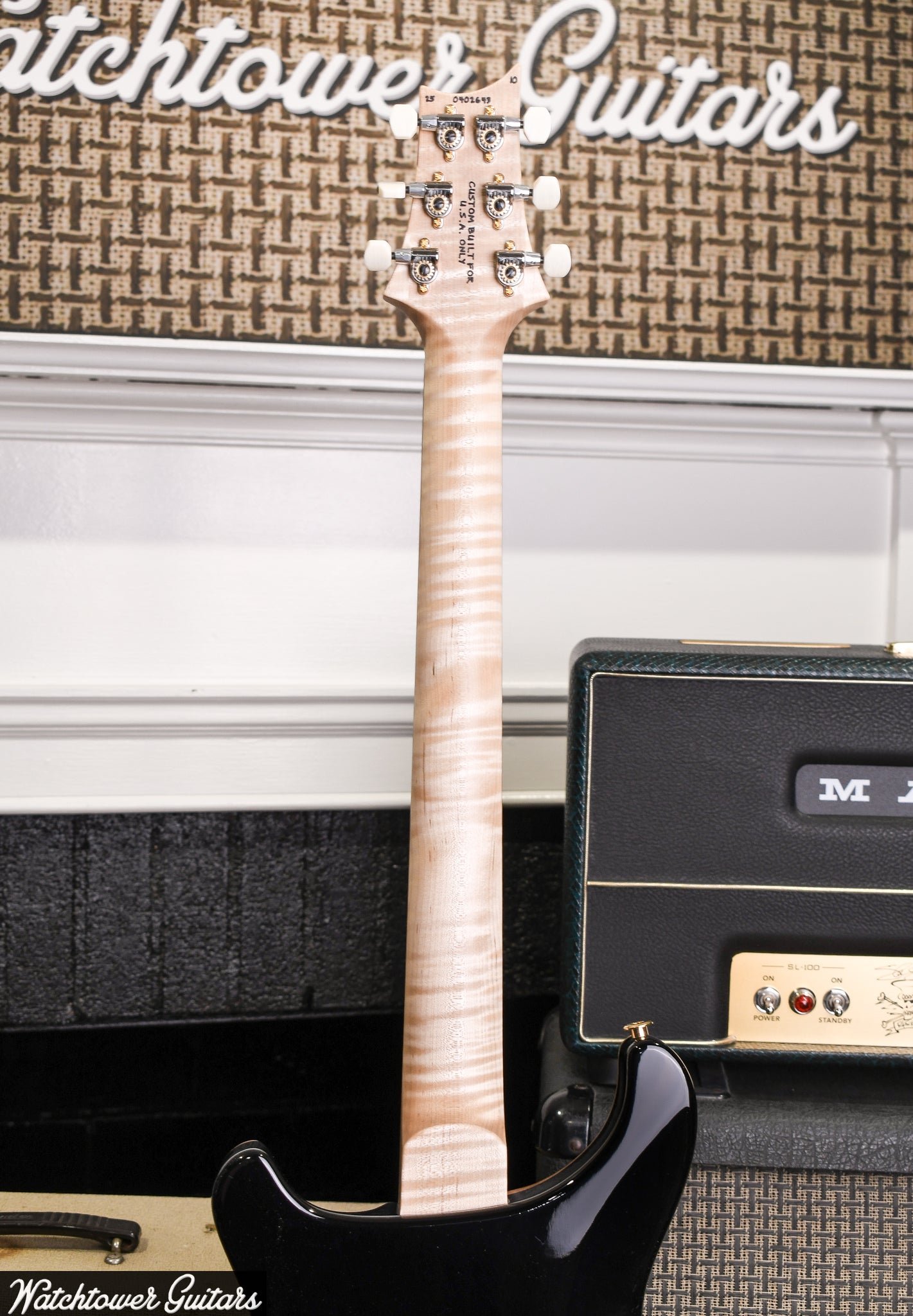 Paul Reed Smith PRS DGT Signature 10 Top Quilt Brazilian Board/Maple Neck Wood Library Purple Mist