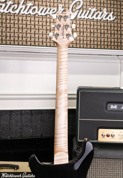 Paul Reed Smith PRS DGT Signature 10 Top Quilt Brazilian Board/Maple Neck Wood Library Purple Mist