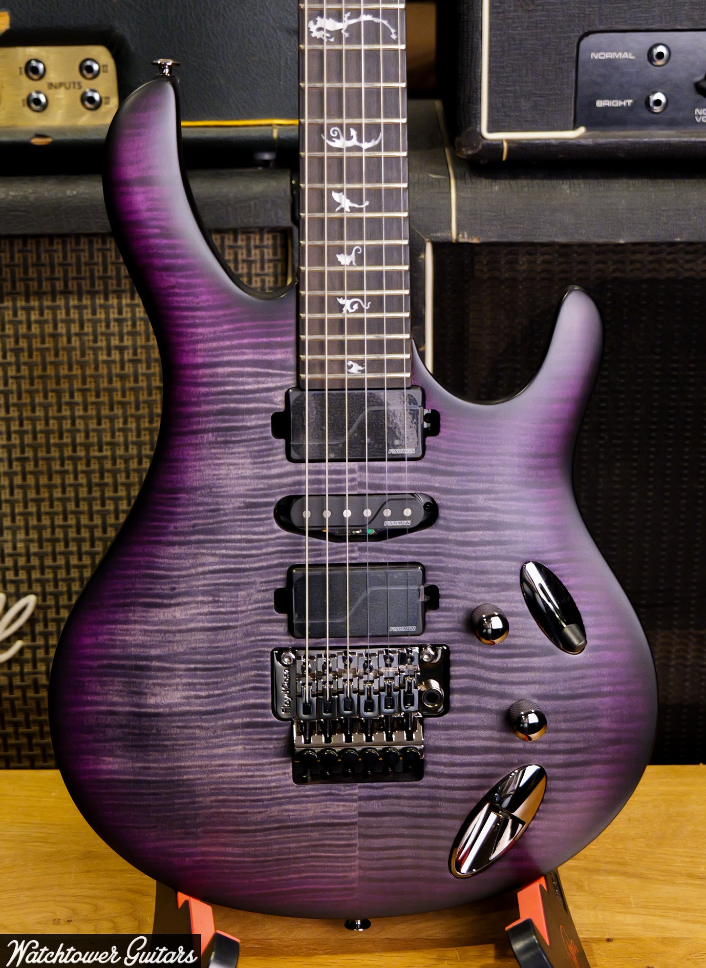 Paul Reed Smith PRS SE Chleo Charcoal Purple Burst