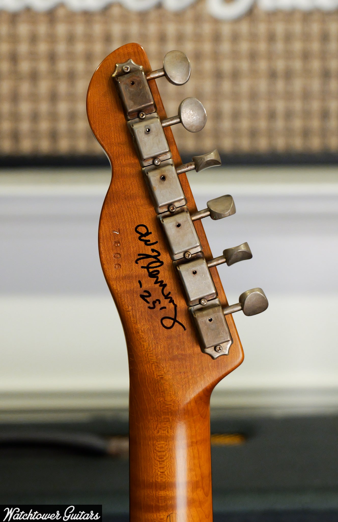 LSL Instruments T Bone Chris Fleming Team Built Lake Placid Blue