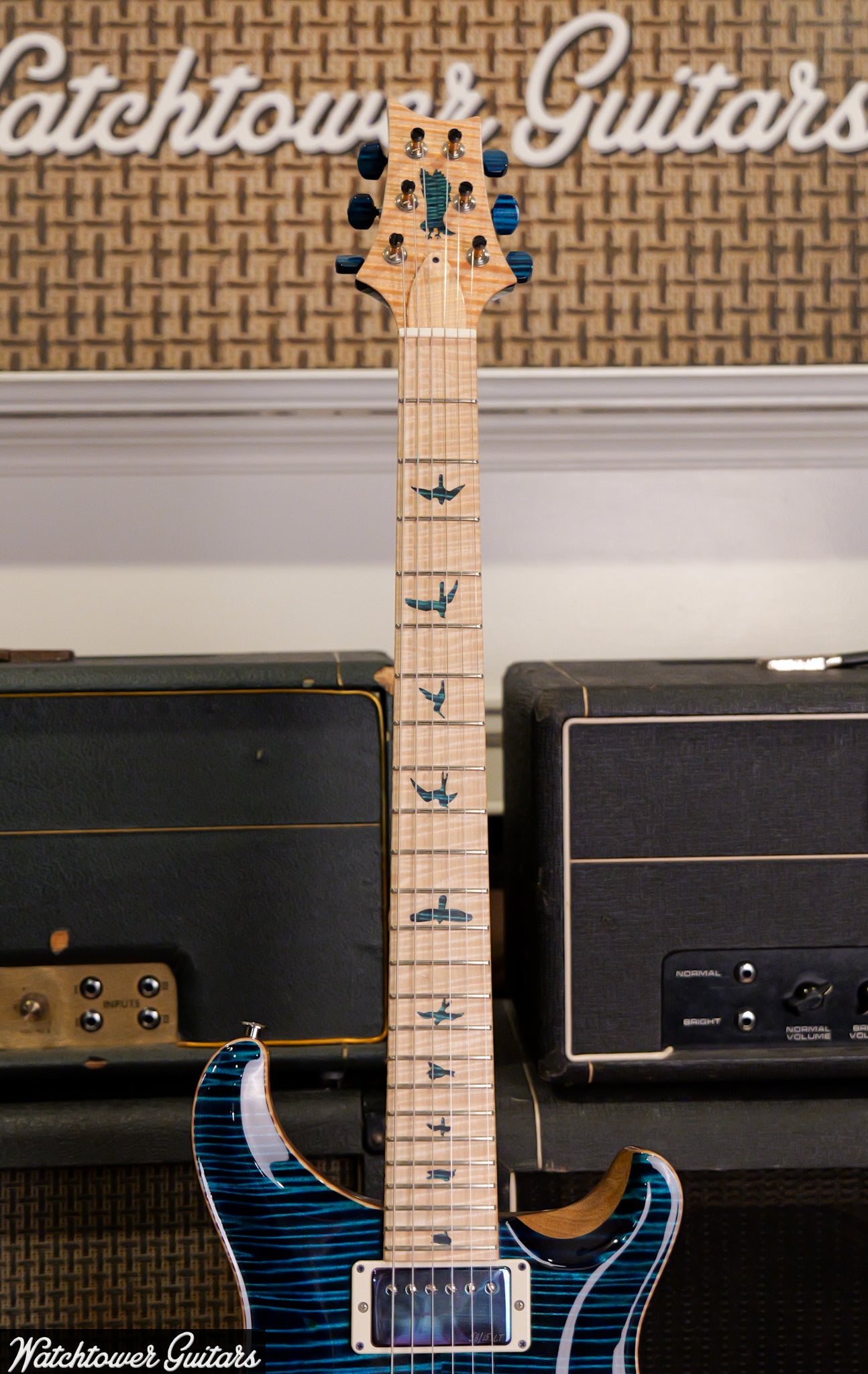 2023 Paul Reed Smith PRS Private Stock 24-08 Semi Hollow Blue Steel