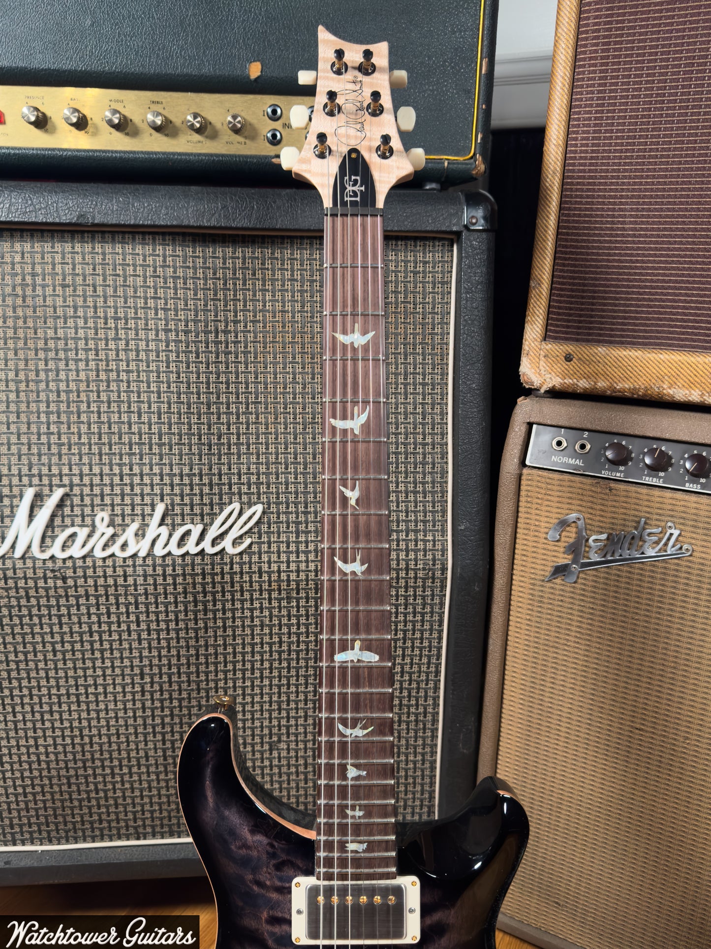 2025 Paul Reed Smith PRS DGT Signature 10 Top Quilt Brazilian Board/Maple Neck Wood Library Purple Mist