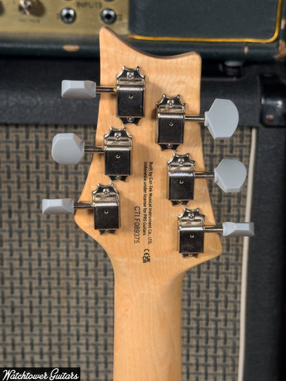 Paul Reed Smith PRS SE Silver Sky Maple Summit Purple