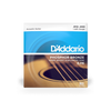 D'Addario 12-53 Light, Phosphor Bronze Acoustic Guitar Strings EJ16