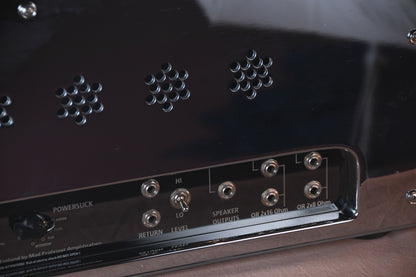 2008 Mad Professor CSW-40 Namm One of a Kind Chrome Headshell