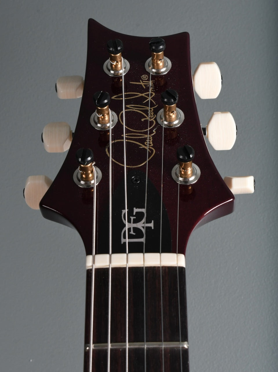 2020 PRS DGT Signature *Custom Color* Charcoal Purple Wrap Burst