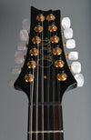 2020 PRS Hollowbody I 12 String Black