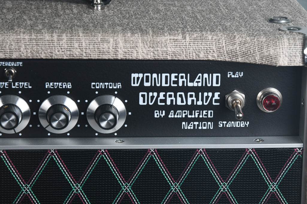 2019 Amplified Nation Wonderland Overdrive 50 Watt Head