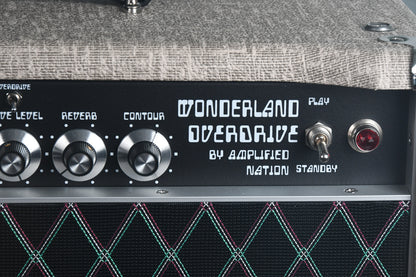 2019 Amplified Nation Wonderland Overdrive 50 Watt Head