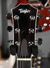 Taylor T5Z Pro Molasses Sunburst