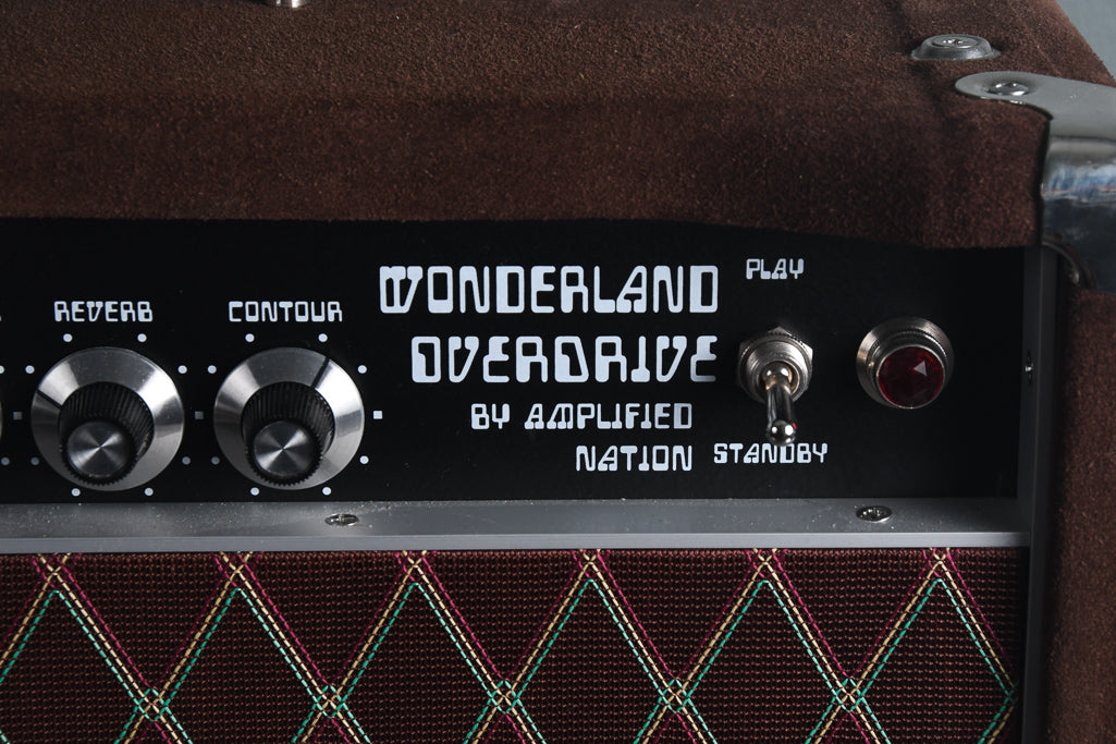 2019 Amplified Nation Wonderland Overdrive 50 Watt Head Dark Brown Suede