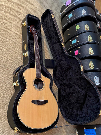 Breedlove Stage Concert with Hardshell Case