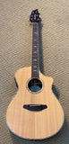 Breedlove Stage Concert with Hardshell Case