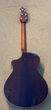 Breedlove Stage Concert with Hardshell Case