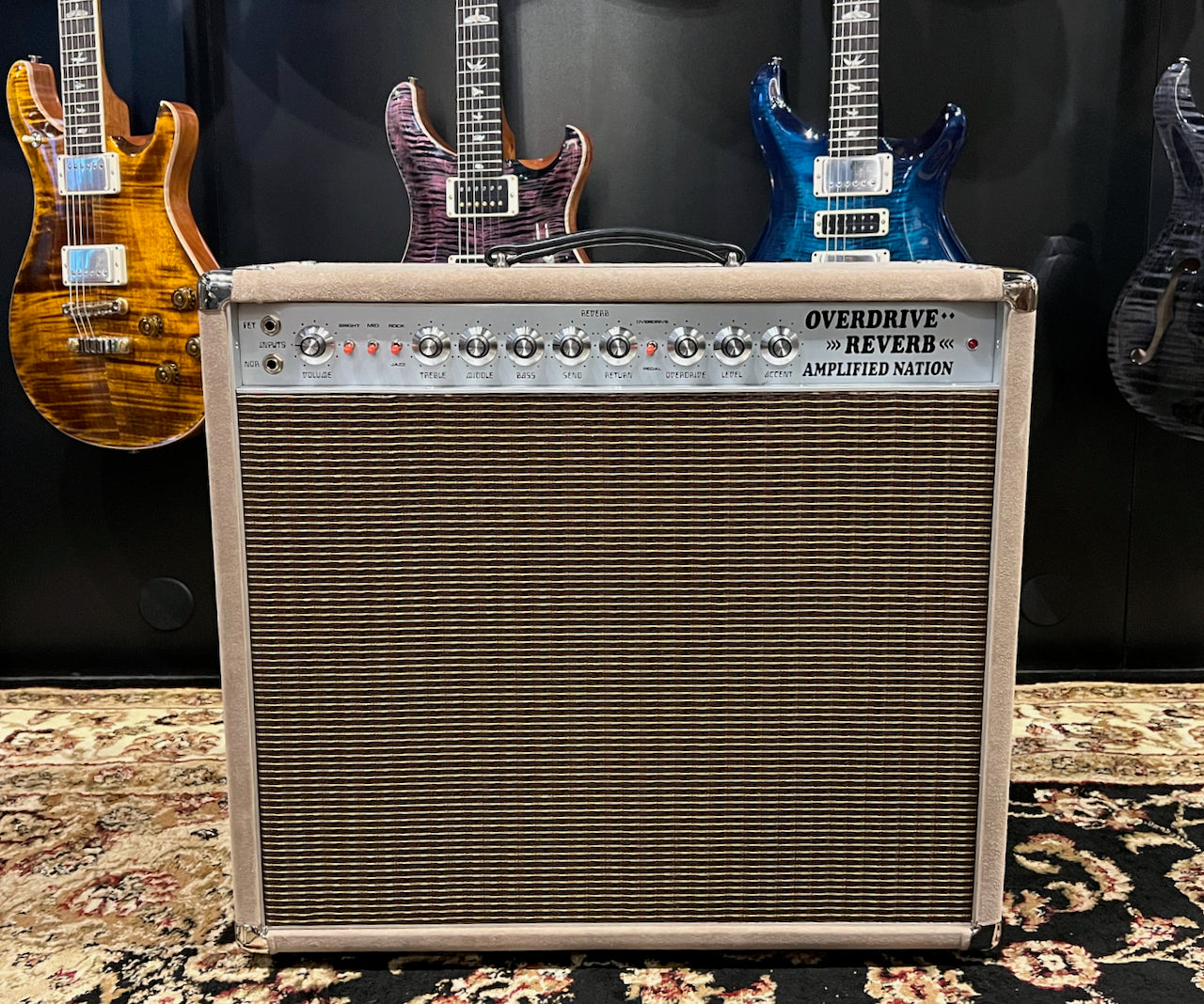 2022 Amplified Nation Overdrive Reverb 50 Watt 1x12 Combo Dogwood Suede