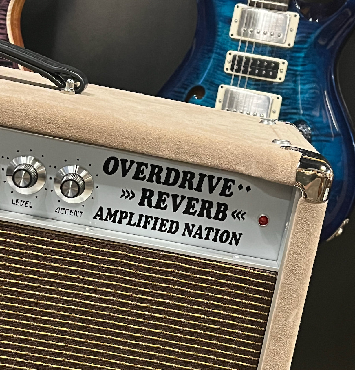 2022 Amplified Nation Overdrive Reverb 50 Watt 1x12 Combo Dogwood Suede