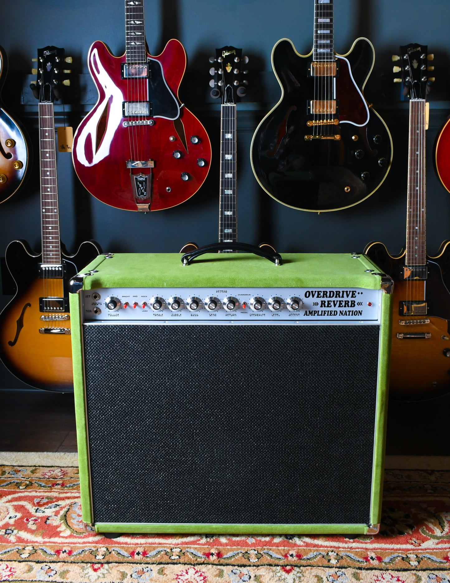 Amplified Nation Overdrive Reverb 50 Watt 1x12 Combo Angry Phrogg/Black Sparkle