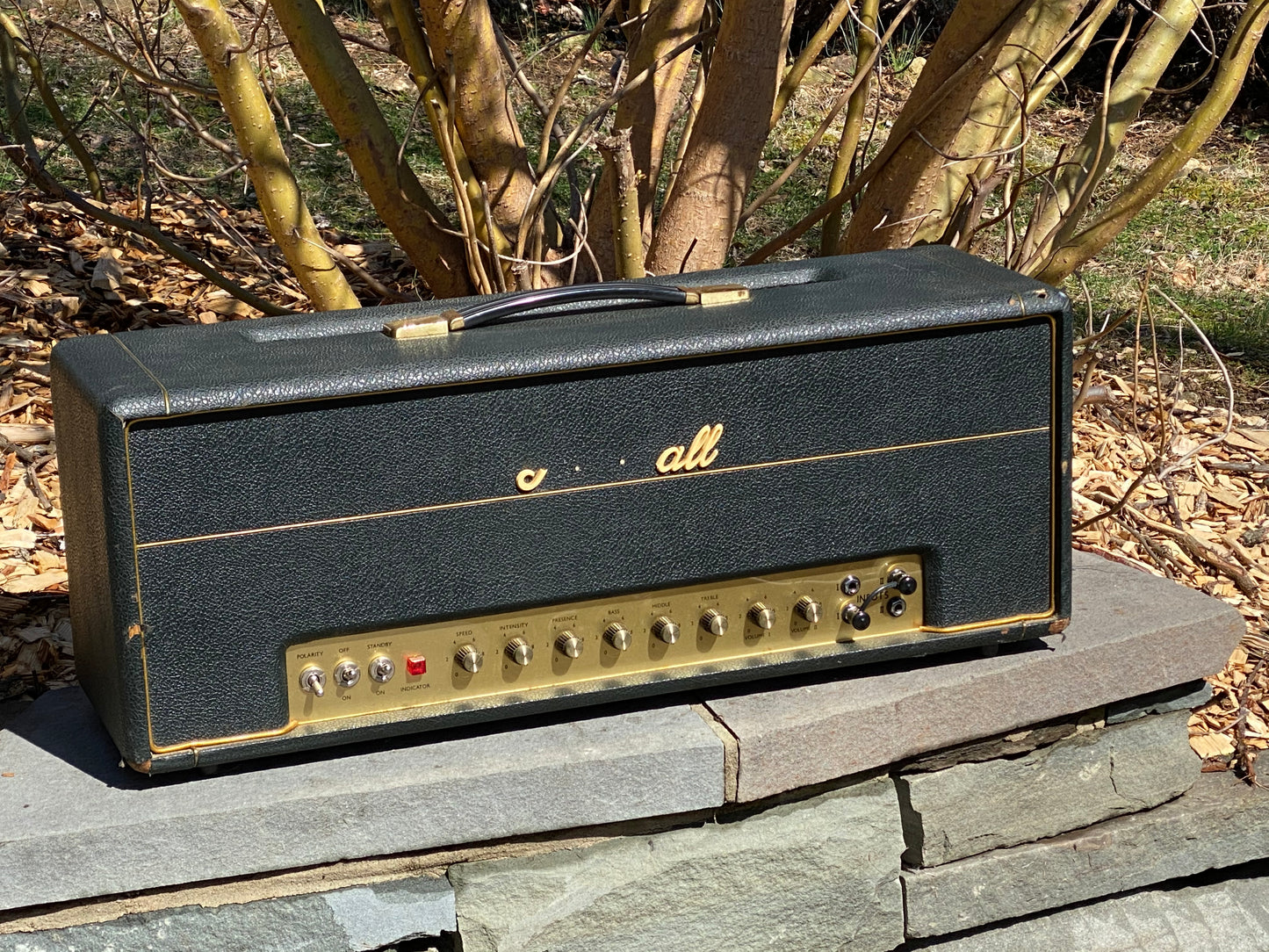 1968 Marshall Plexi Panel Super Tremolo 100w Head